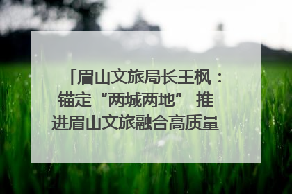 眉山文旅局长王枫：锚定“两城两地” 推进眉山文旅融合高质量发展｜文旅局长说